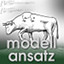 Isoperimetrische Probleme